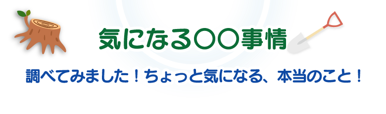 気になる○○事情