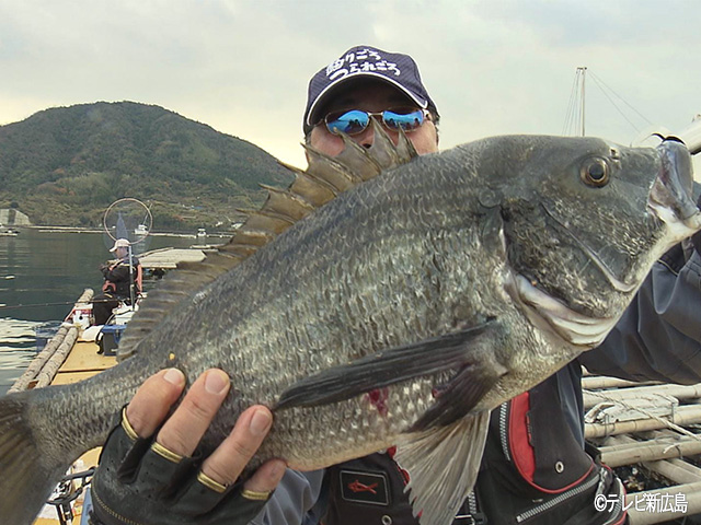 2月8日 14日は ひろしまの遊び島 えたじまweek テレビ新広島